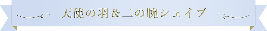 天使の羽＆二の腕シェイプ